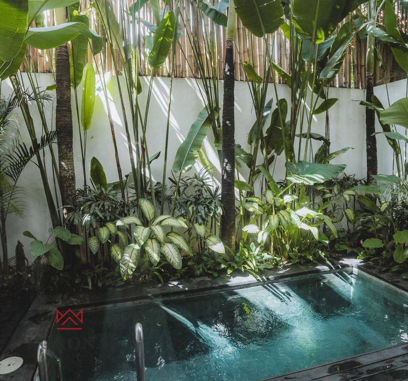 Dom Sprzedaż Berawa, Canggu, Bali 6