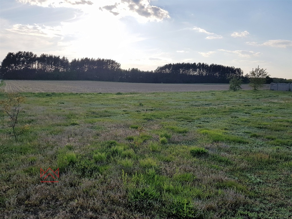 Działka Sprzedaż Turośń Kościelna