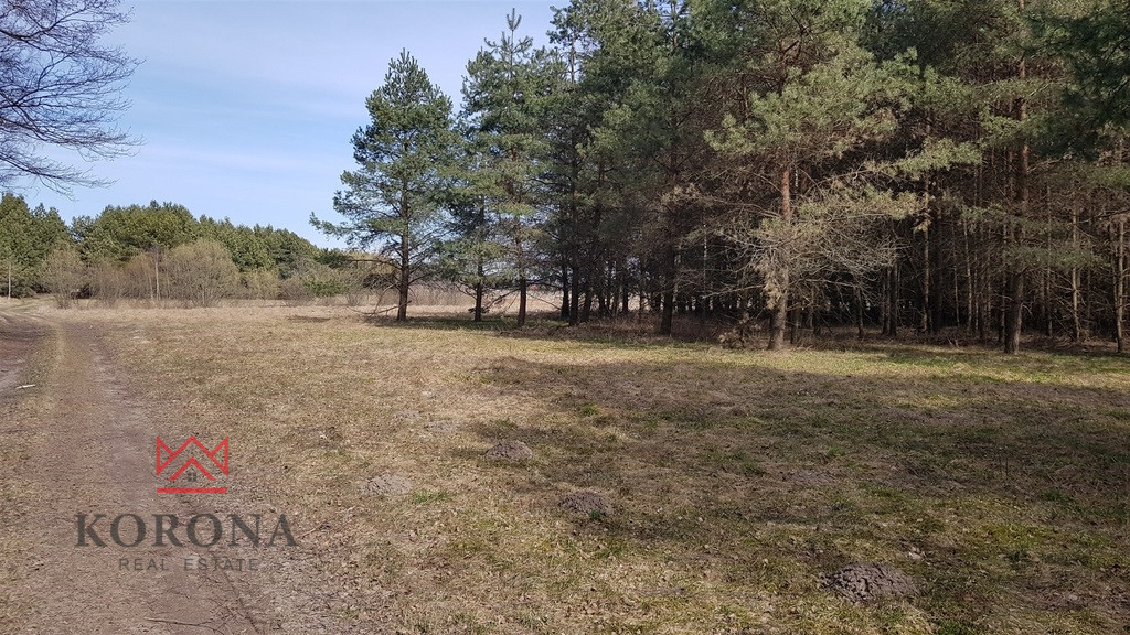 Plot Sale Zabłudów 4