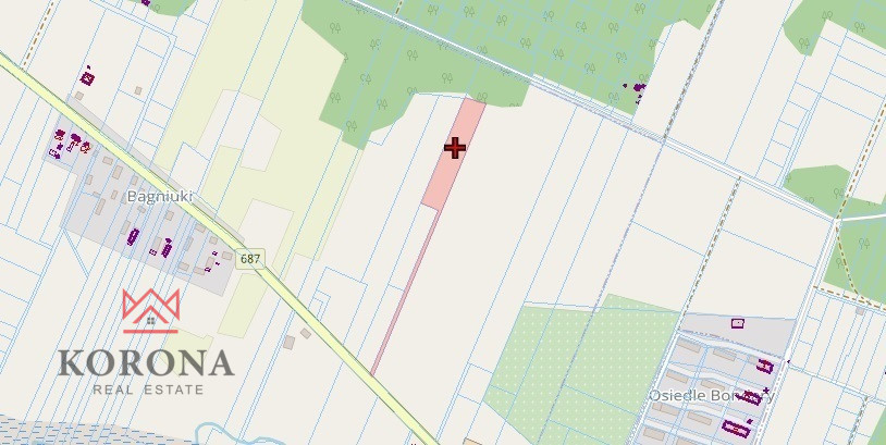 Działka Sprzedaż Bagniuki