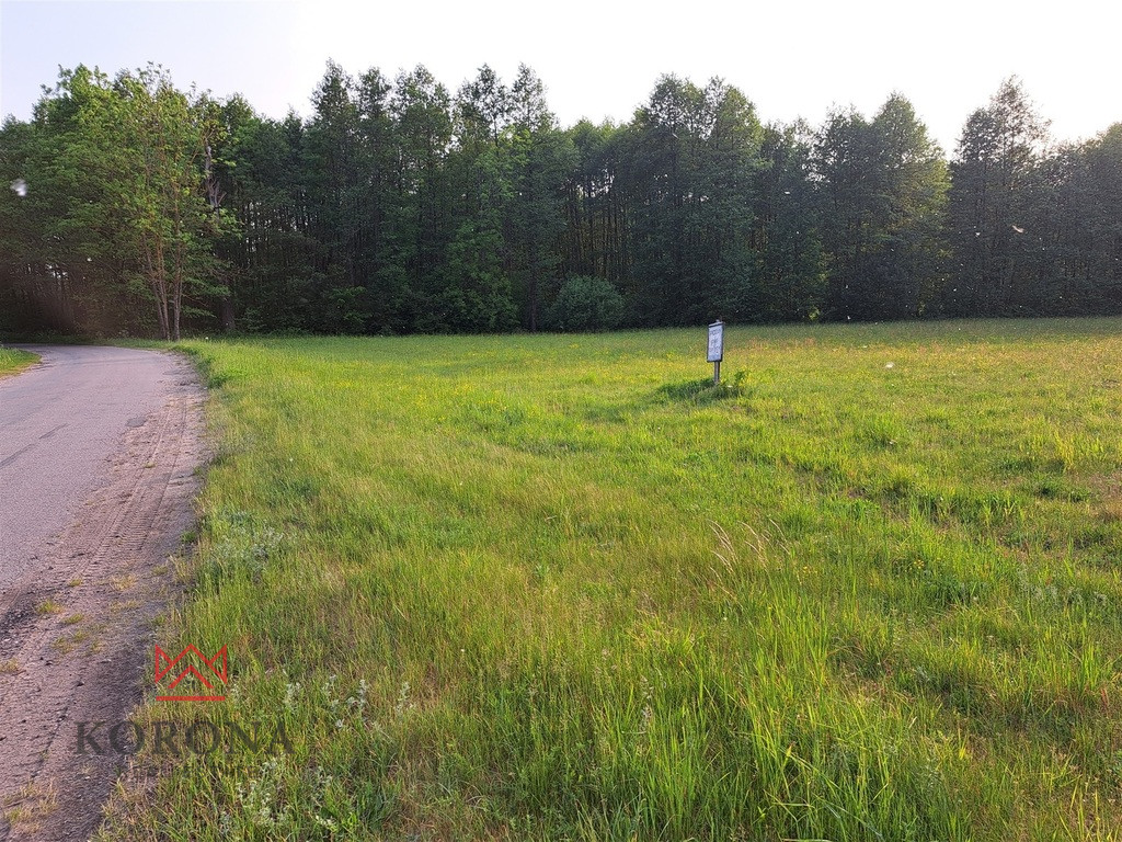 Plot Sale Rybczyzna 4