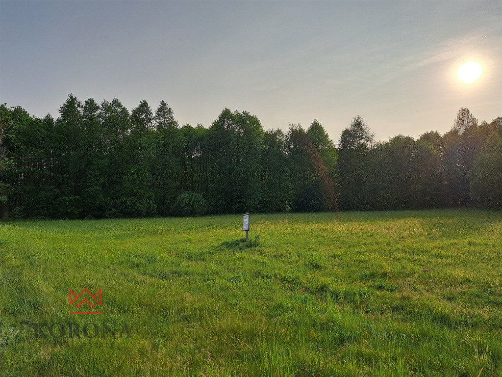 Plot Sale Rybczyzna 5