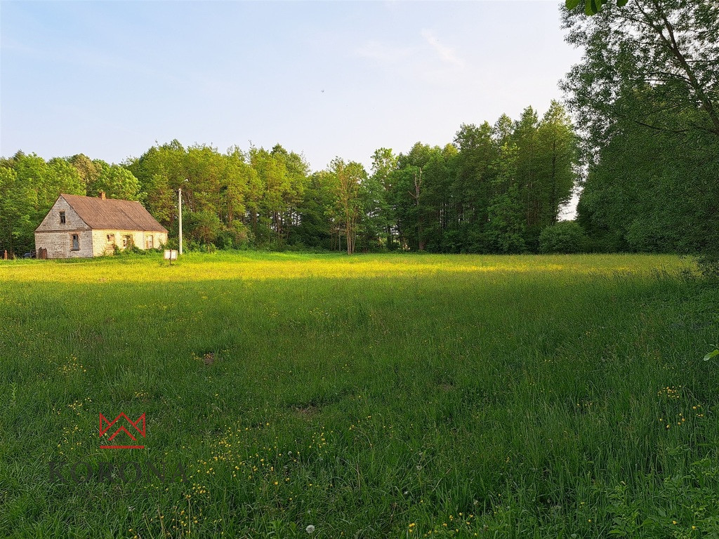 Plot Sale Rybczyzna 9