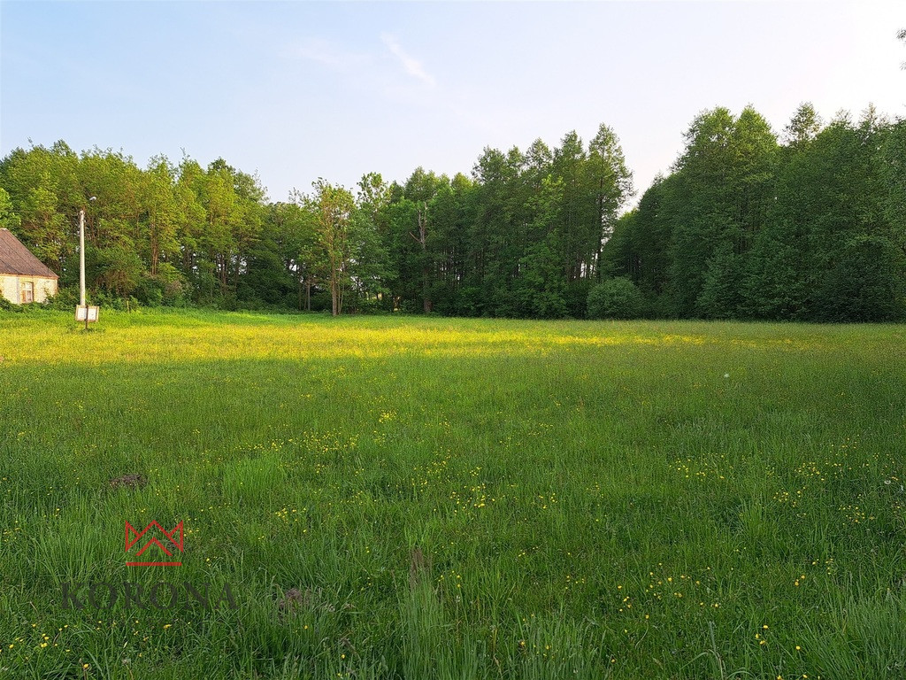 Plot Sale Rybczyzna 11