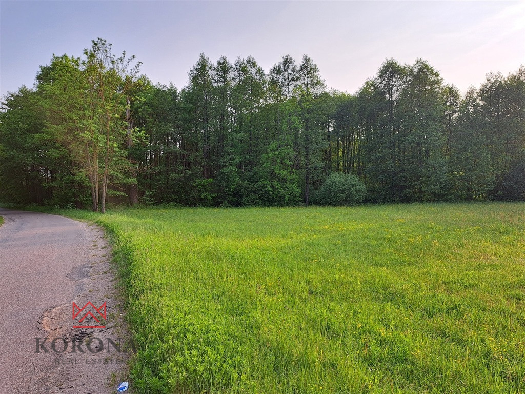 Plot Sale Rybczyzna 15