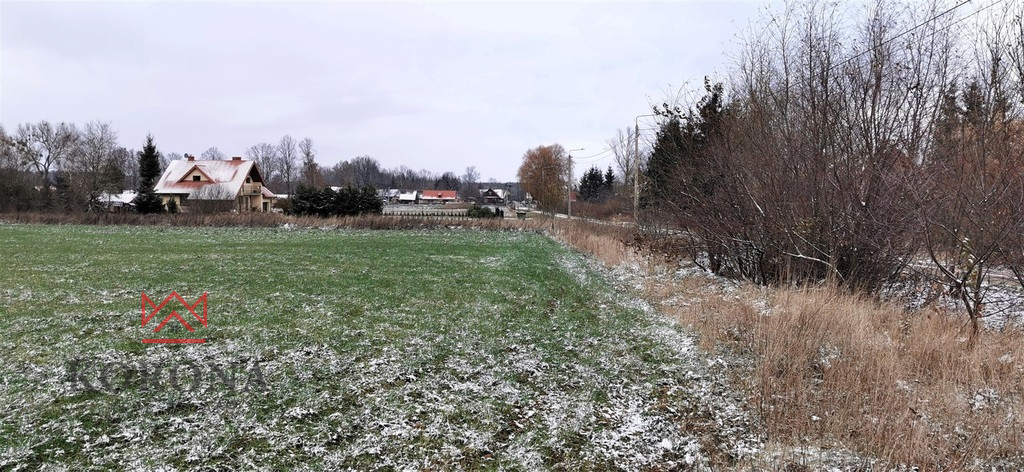 Plot Sale Pasynki