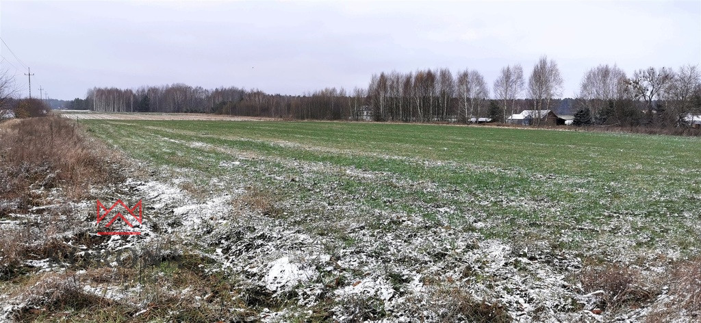 Plot Sale Pasynki