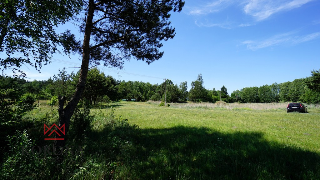 Plot Sale Kościuki