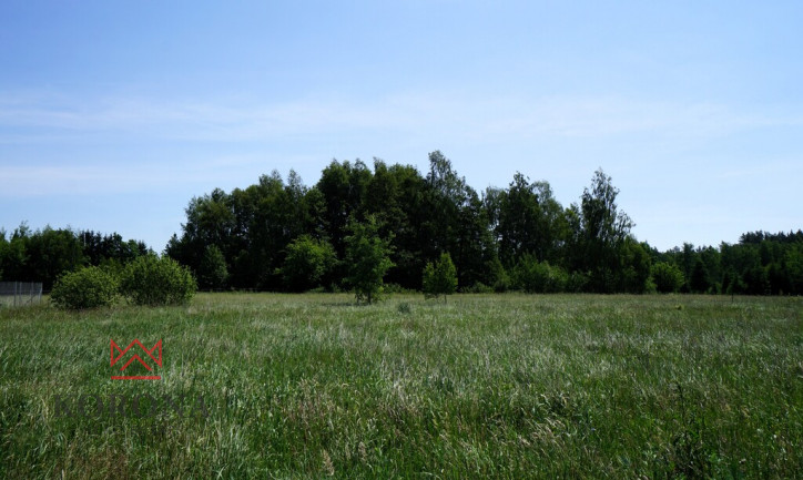 Działka Sprzedaż Henrykowo 5