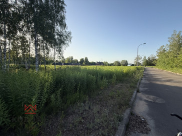 Działka Sprzedaż Nowa Łuka
