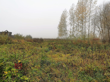 House Sale Kuplisk