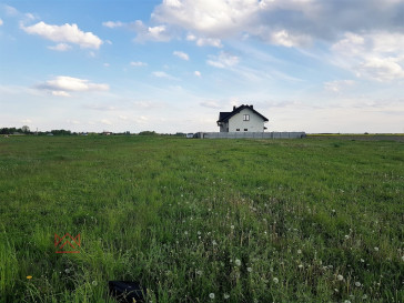 Działka Sprzedaż Turośń Kościelna