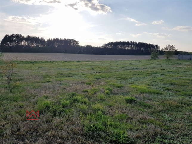 Plot Sale Turośń Kościelna 3