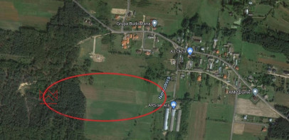 Działka Sprzedaż Skrybicze