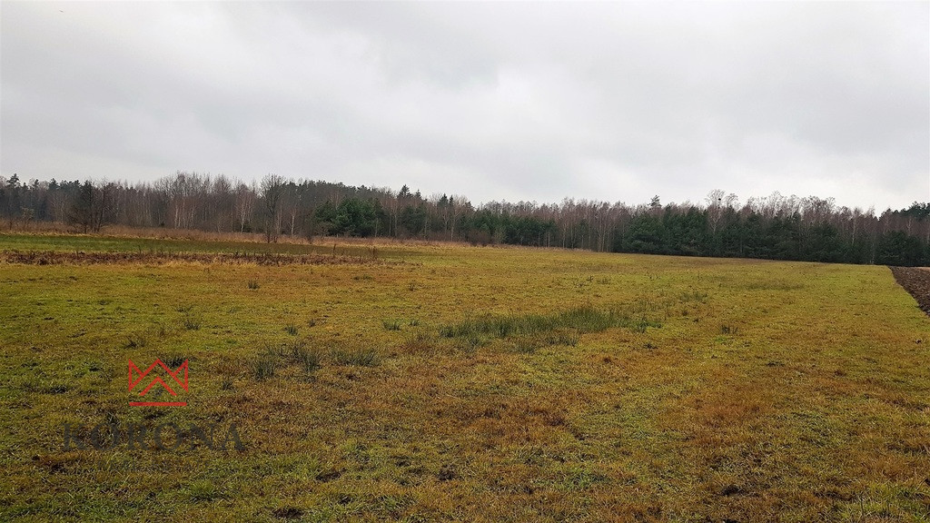 Działka Sprzedaż Skrybicze