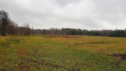 Działka Sprzedaż Skrybicze