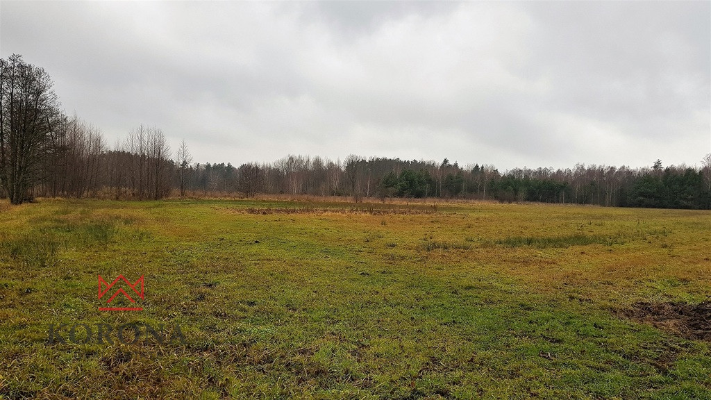 Działka Sprzedaż Skrybicze