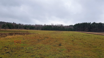 Działka Sprzedaż Skrybicze