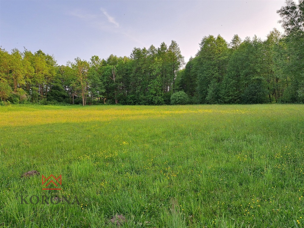 Plot Sale Rybczyzna