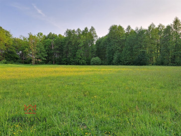 Plot Sale Rybczyzna