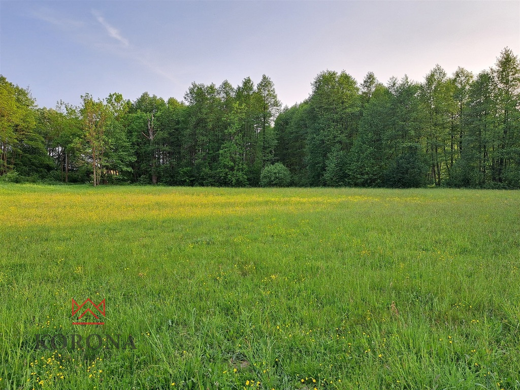 Plot Sale Rybczyzna