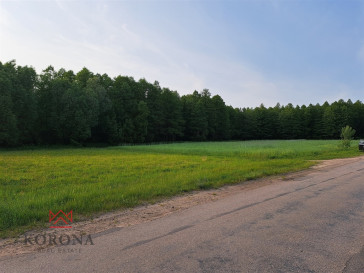 Plot Sale Rybczyzna