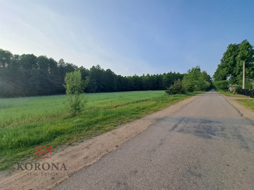 Plot Sale Rybczyzna